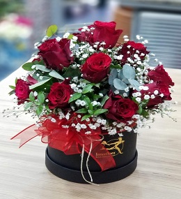 6. kutu gül