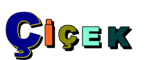 Çiçek Çeşitlerimiz