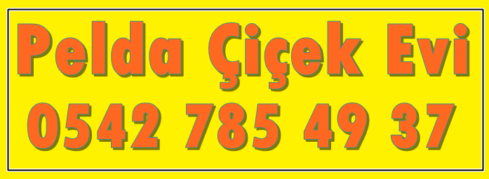 Vazoda Çiçek